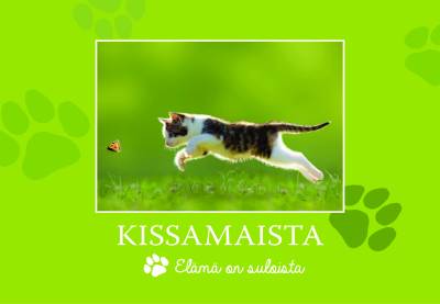 Kissamaista