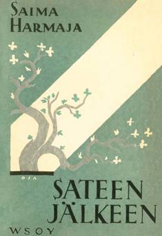 Sateen jälkeen (näköispainos)