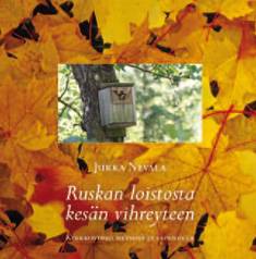 Ruskan loistosta kesän vihreyteen