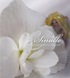 Sinulle