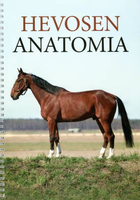 Hevosen anatomia