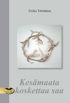 Kesämaata koskettaa saa