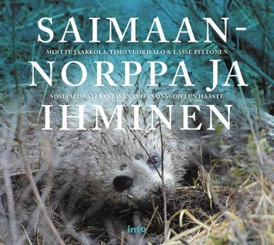 Saimaannorppa ja ihminen