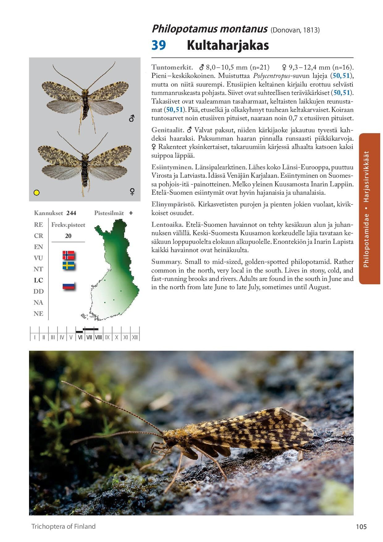 Suomen vesiperhoset - Trichoptera of Finland