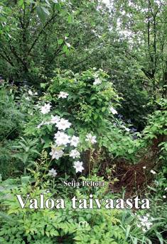 Valoa taivaasta