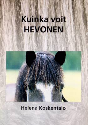 Kuinka voit hevonen