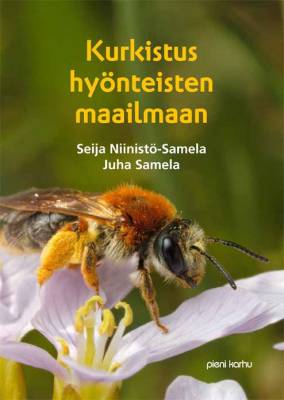Kurkistus hyönteisten maailmaan (selkokirja)