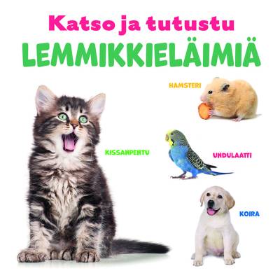 Katso ja tutustu: Lemmikkieläimiä