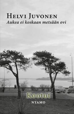 Aukea ei koskaan metsään ovi
