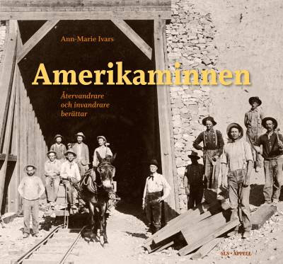 Amerikaminnen