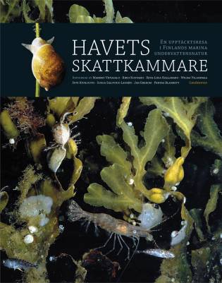 Havets skattkammare
