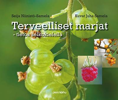 Terveelliset marjat