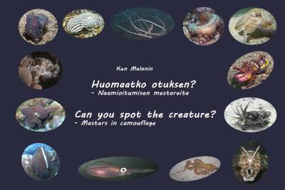 Huomaatko otuksen? I Can you spot the creature?