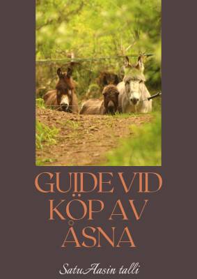 Guide vid köp av en åsna