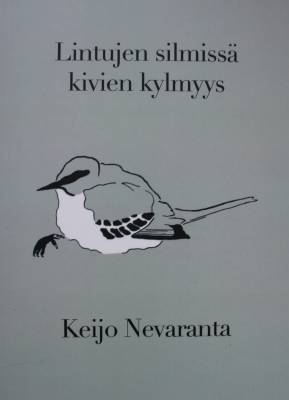 Lintujen silmissä kivien kylmyys