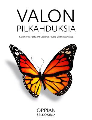 Valon pilkahduksia (selkokirja)