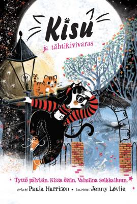 Kisu ja tähtikivivaras