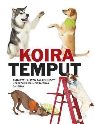 Koiratemput