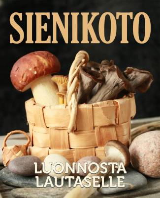 Sienikoto