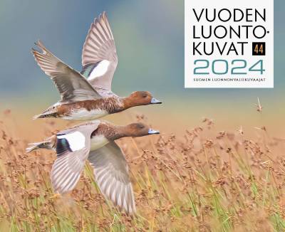 Vuoden Luontokuvat 2024