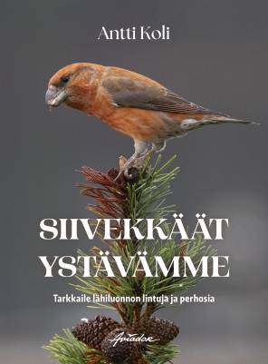 Siivekkäät ystävämme