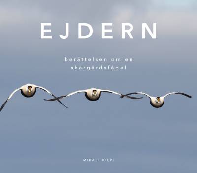 Ejdern