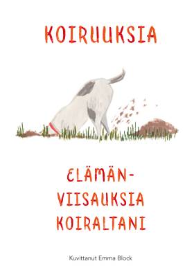 Koiruuksia