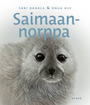 Saimaannorppa