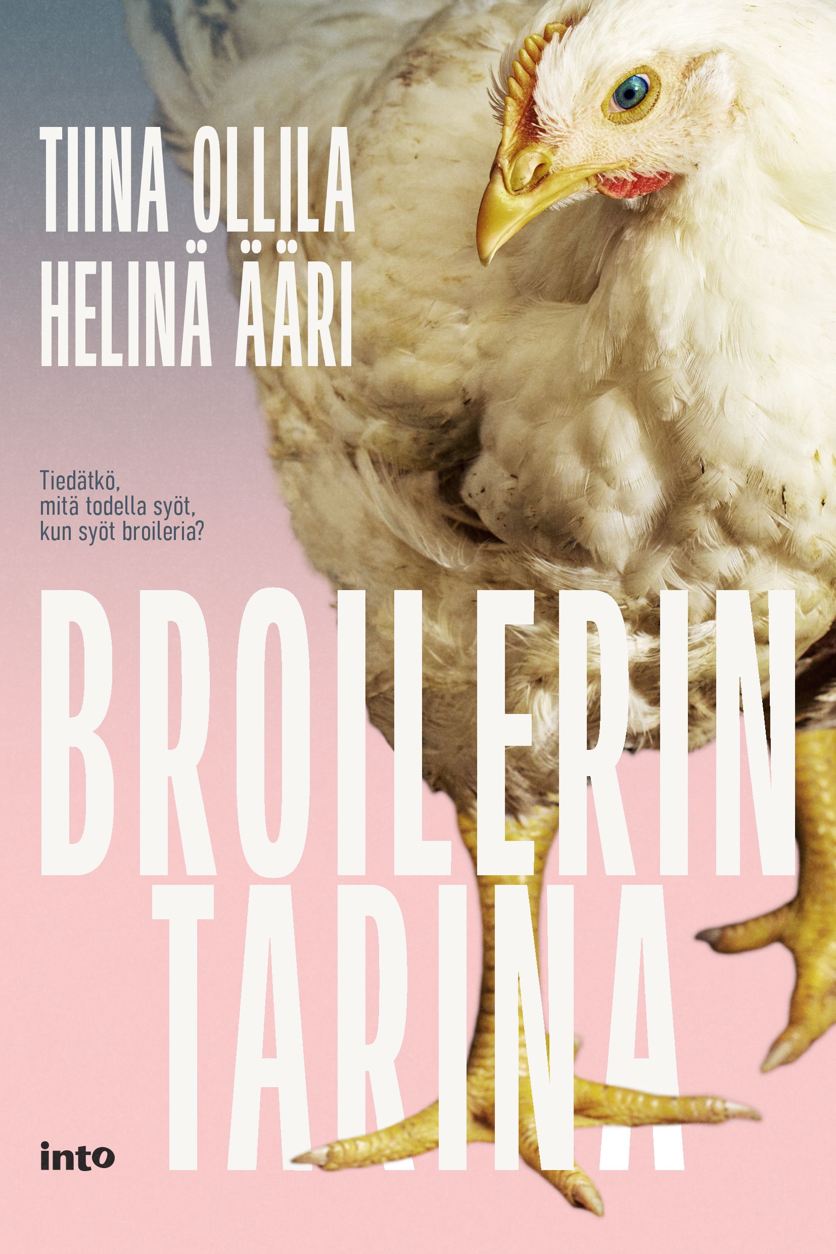 Broilerin tarina