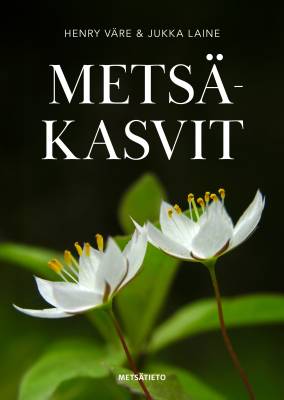 Metsäkasvit