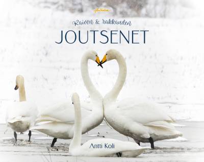 Raivon ja rakkauden joutsenet