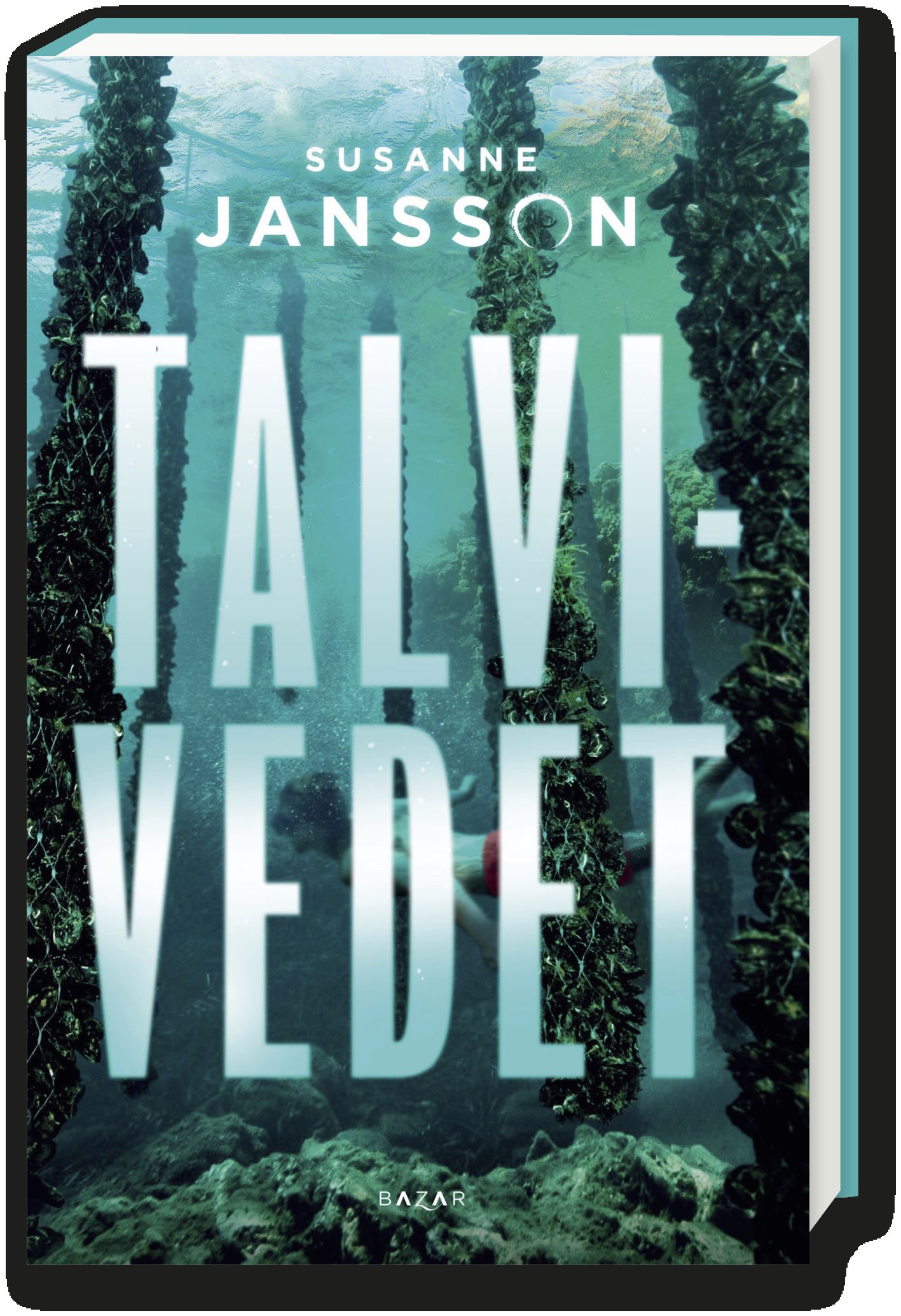 Talvivedet