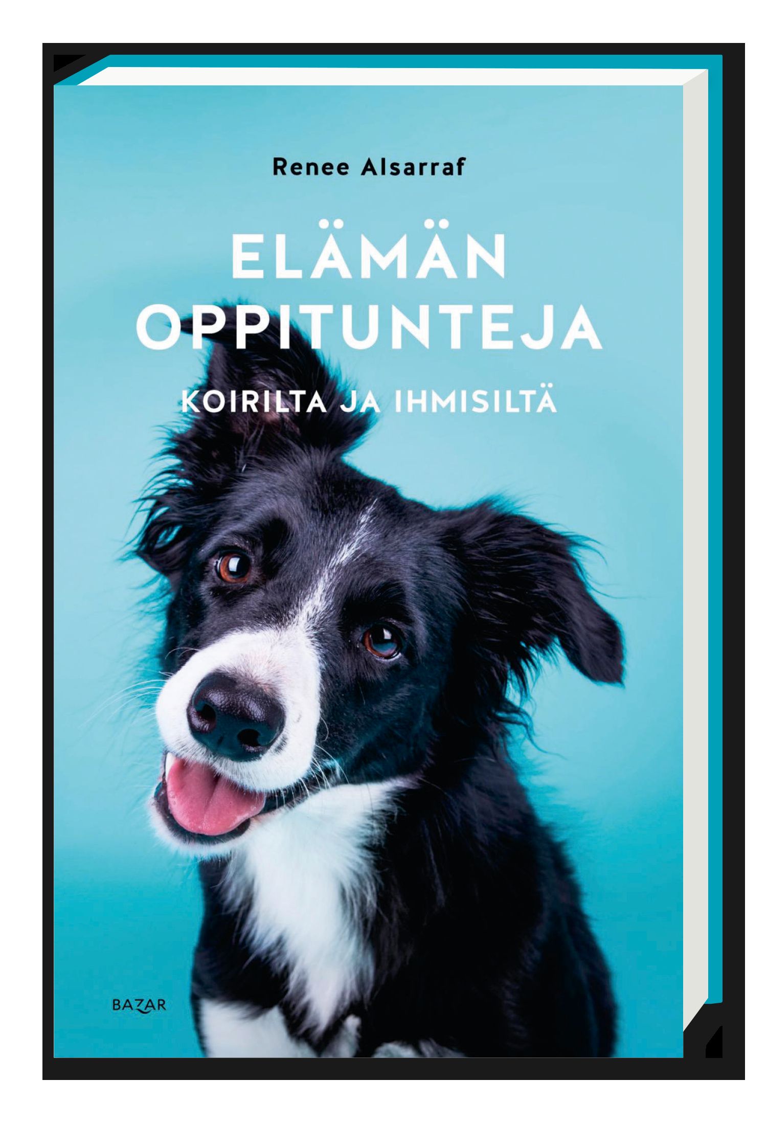 Elämän oppitunteja koirilta ja ihmisiltä