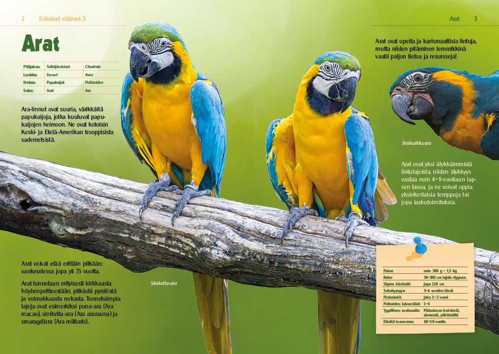 Erikoiset eläimet 3