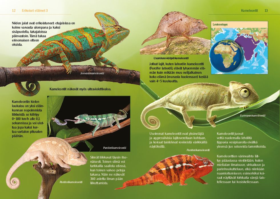 Erikoiset eläimet 3