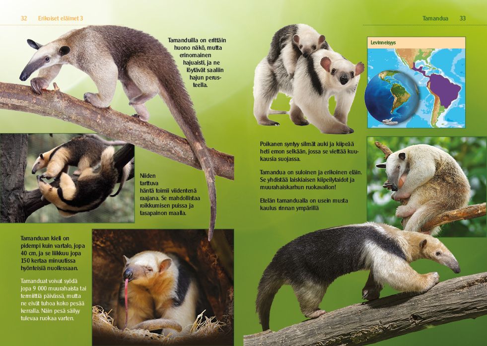 Erikoiset eläimet 3