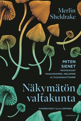 Näkymätön valtakunta