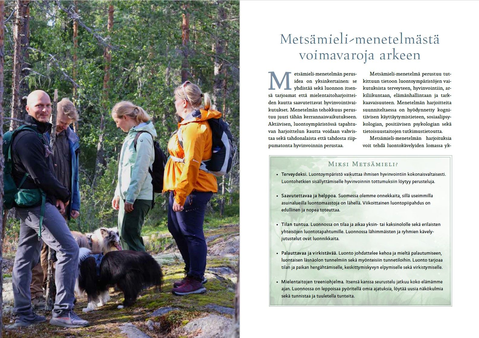 Metsämieli