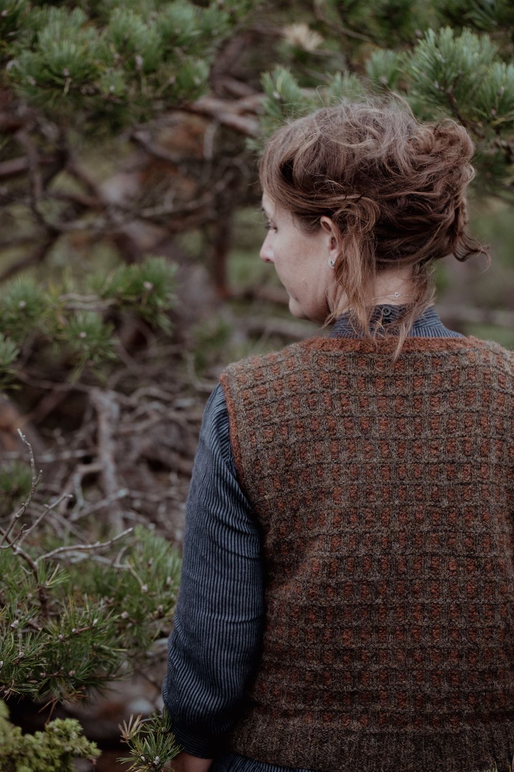 The Island and the Forest: A Knitted Correspondence