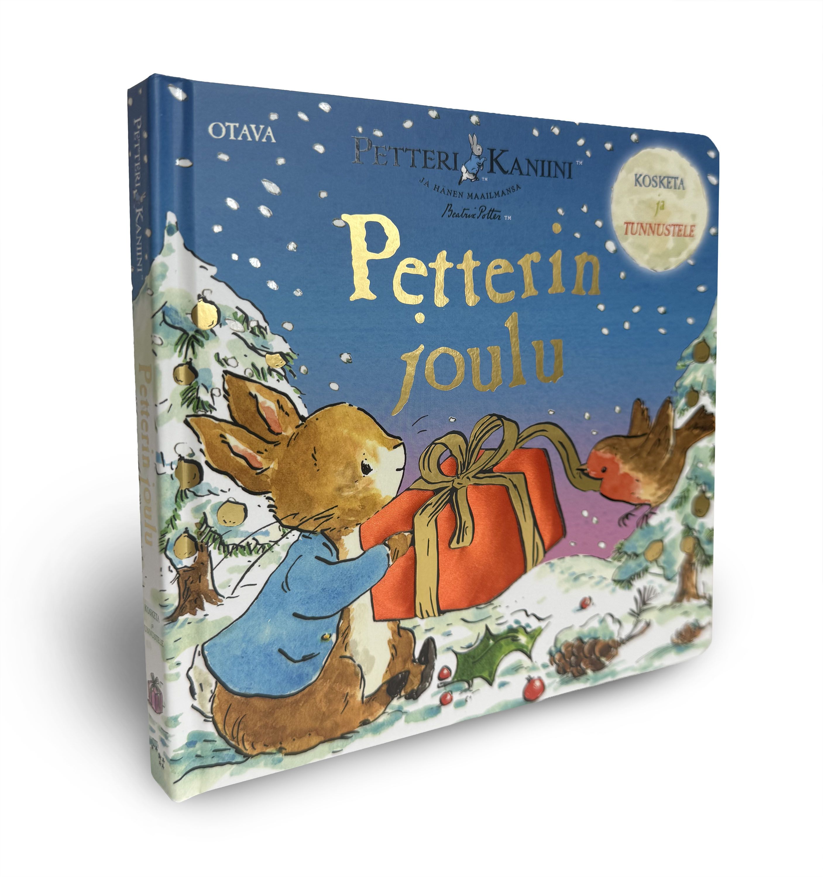 Petteri Kaniini - Petterin joulu