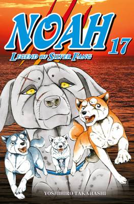 Noah 17