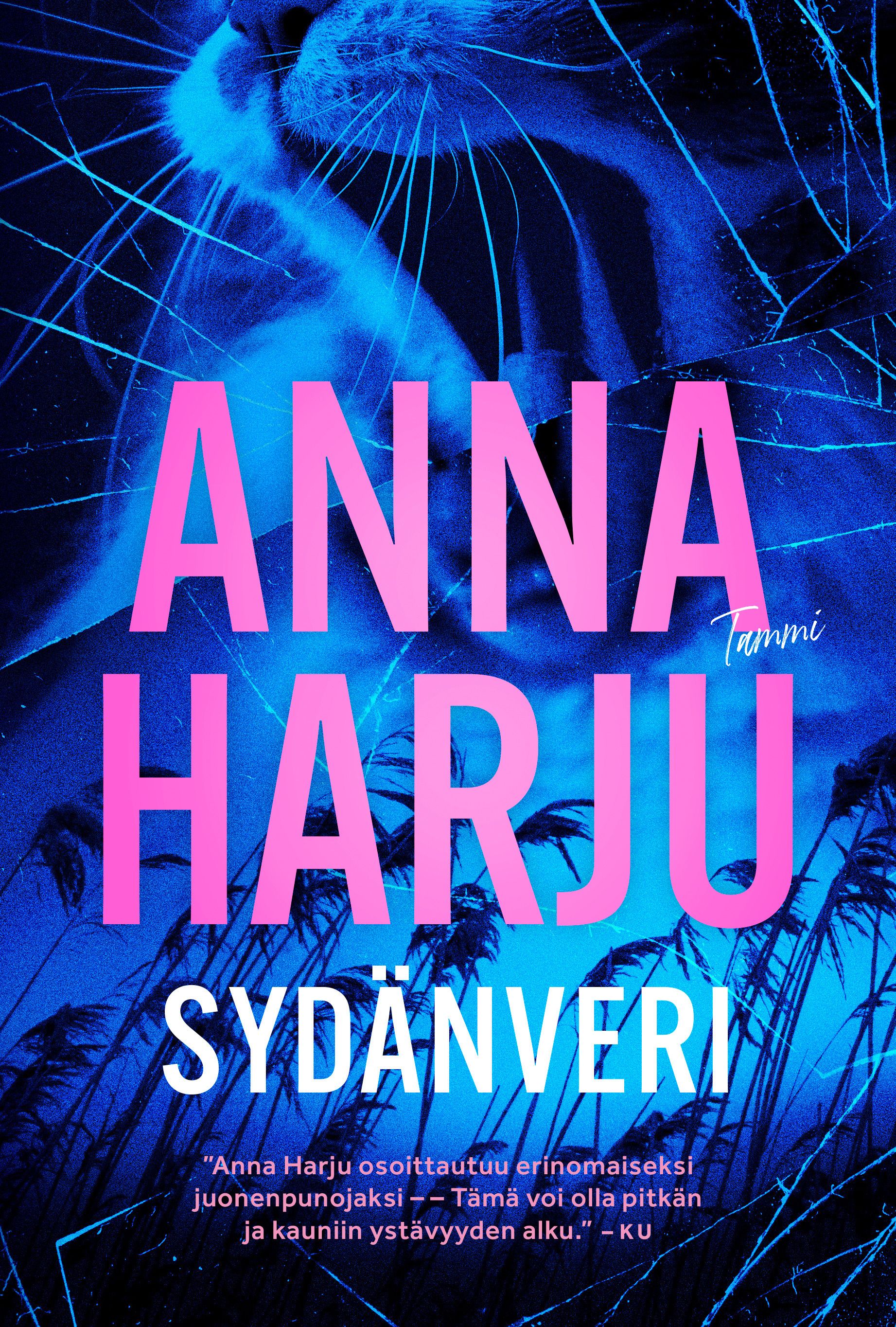 Sydänveri