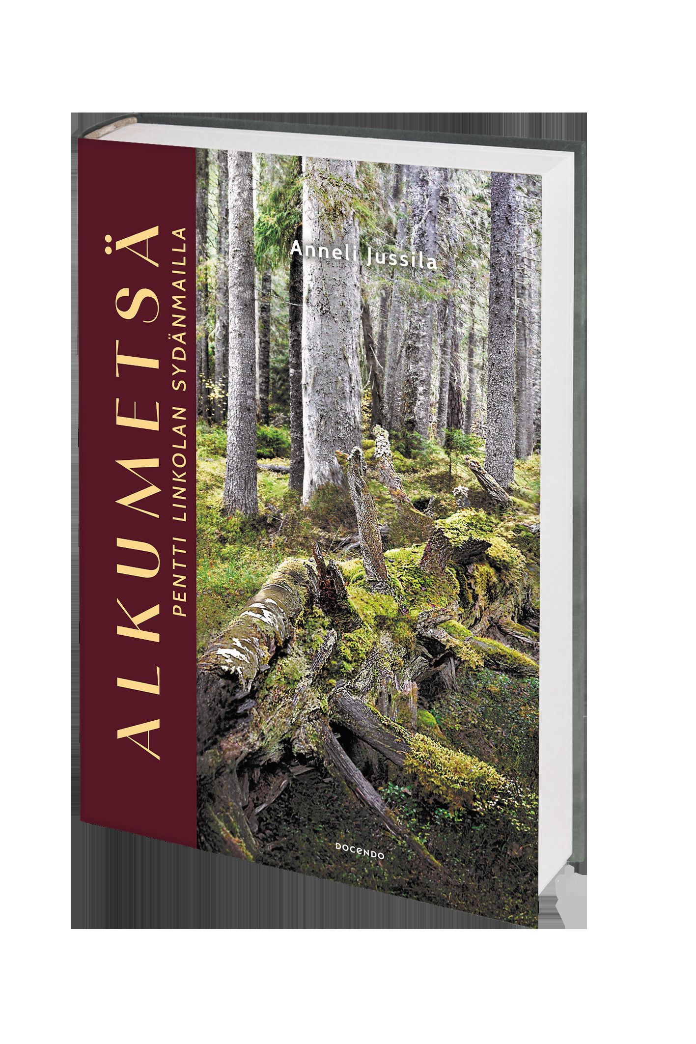 Alkumetsä