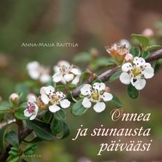 Onnea ja siunausta päivääsi