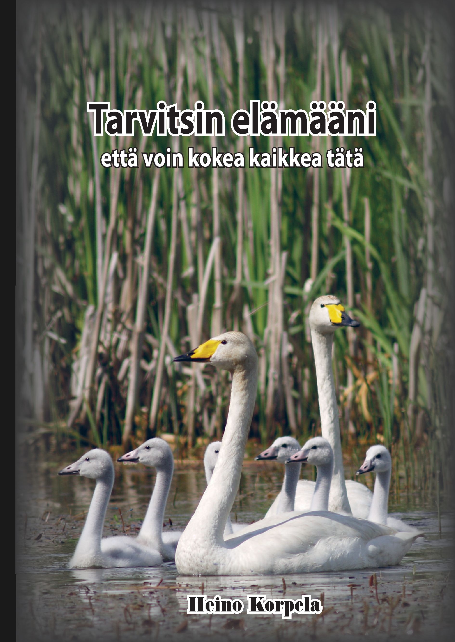 Siirry tuotesivulle Tarvitsin elämääni että voin kokea kaikkea tätä