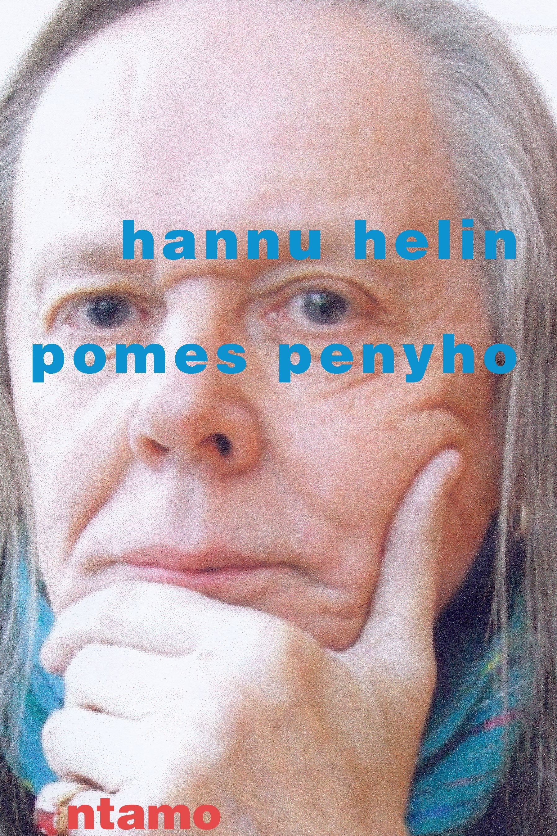 Pomes penyho (näköispainos)