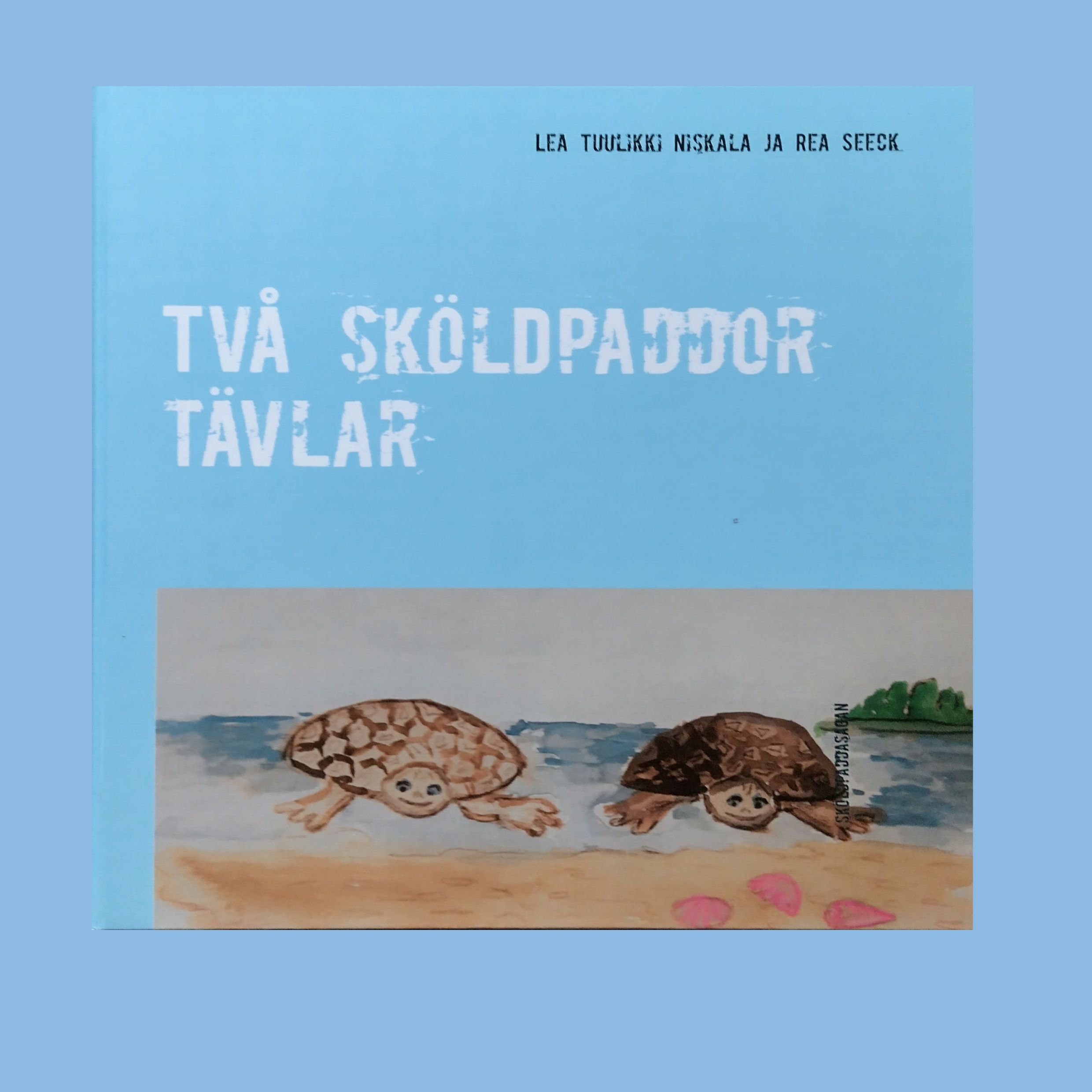 Två sköldpaddor tävlar