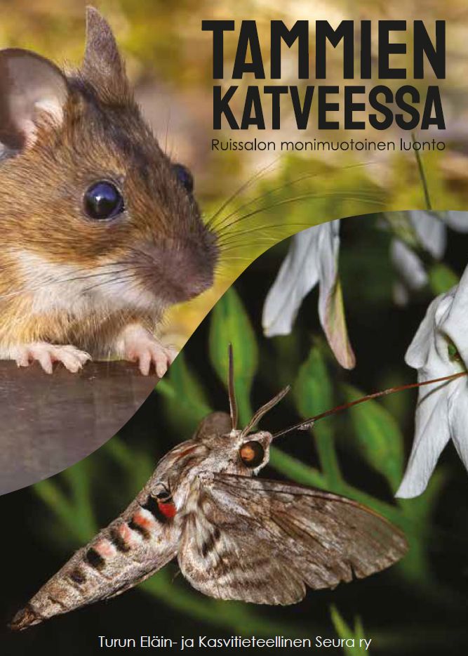 Siirry tuotesivulle Tammien katveessa: Ruissalon monimuotoinen luonto