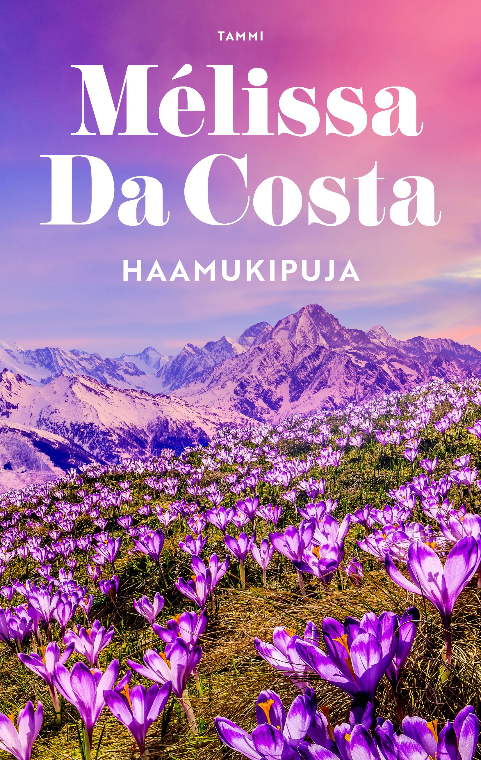 Haamukipuja
