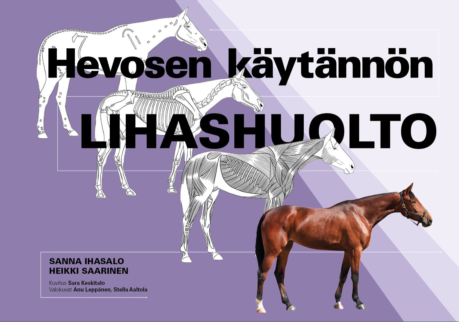 Hevosen käytännön lihashuolto